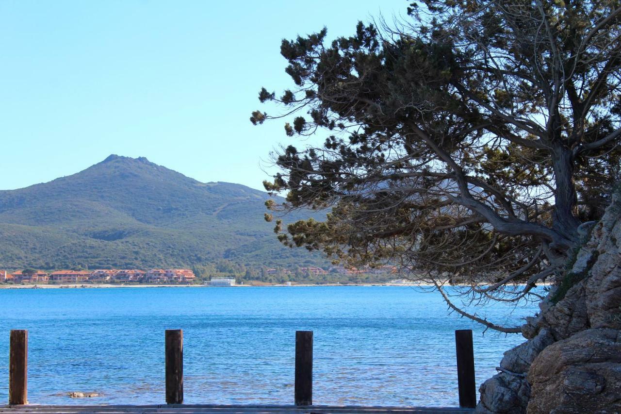 Casa Vacanze Il Cisto - Golfo Di Marinella Porto Rotondo Exterior foto